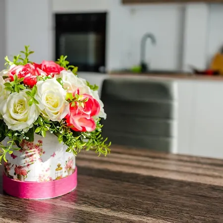 Forever Sunrise-mamaia Nord *