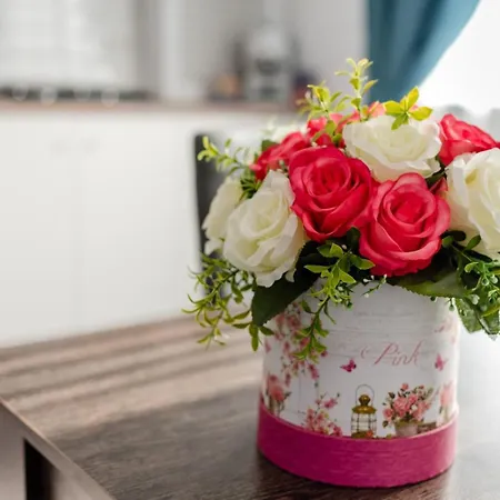 Apartament Forever Sunrise-mamaia Nord Năvodari