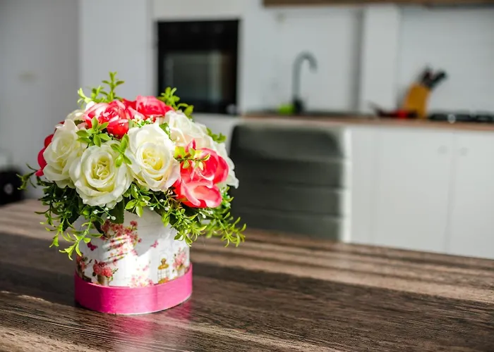 Forever Sunrise-mamaia Nord *